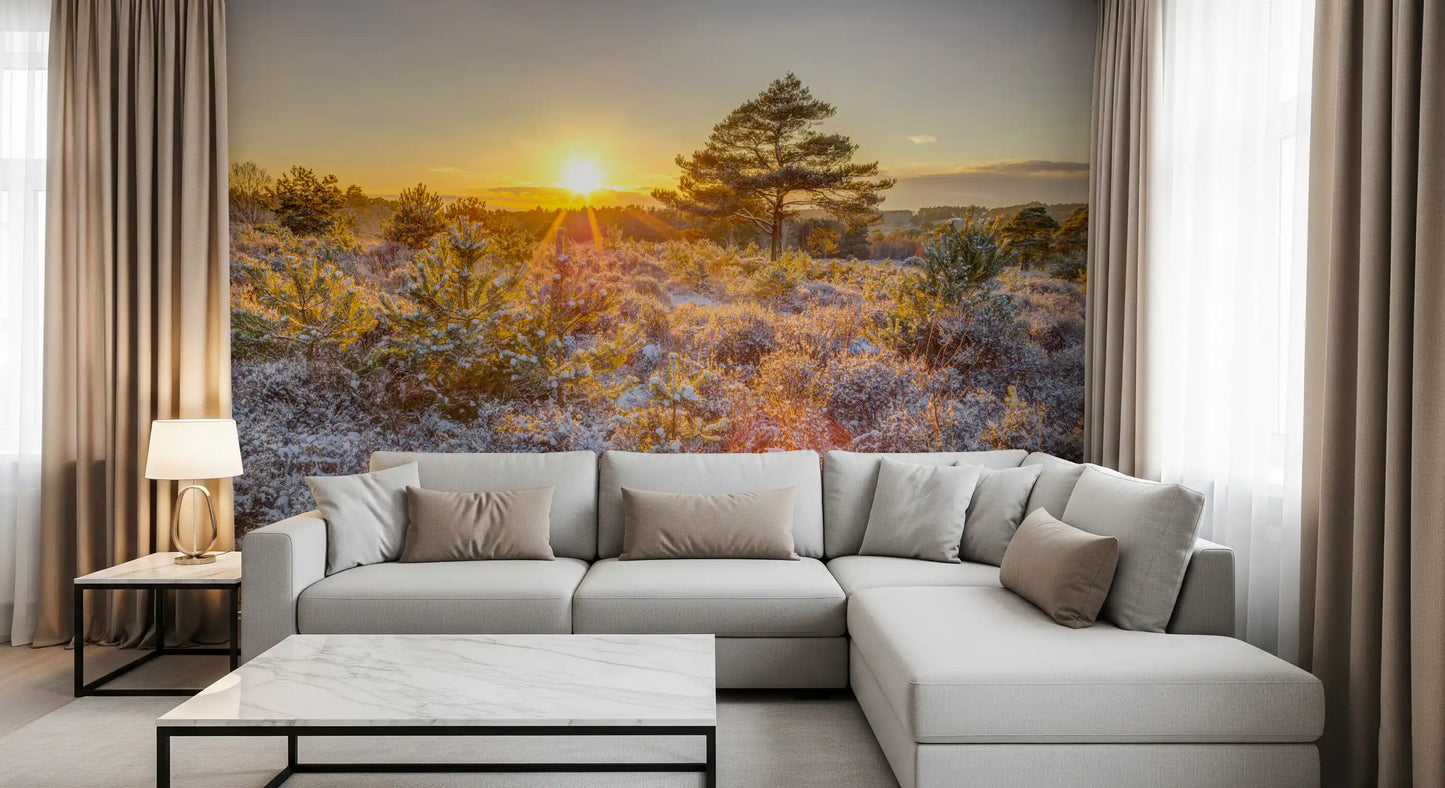 Frosty Morning Woodland Glow Wall Mural