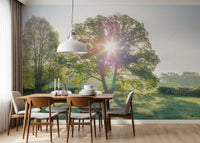 Golden Hour Meadow Canopy Wall Mural