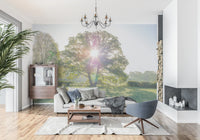 Golden Hour Meadow Canopy Wall Mural