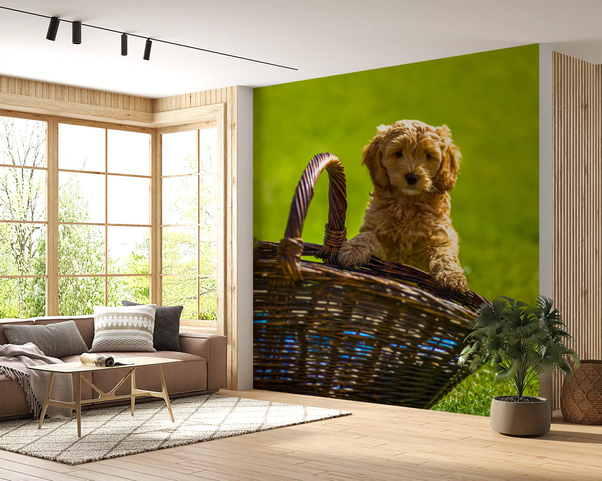 Playful Golden Puppy Portrait wall mural cheering up a living room, GD11433