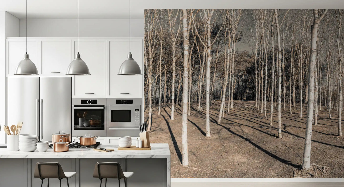 Winter Woodland Shadow Path Wall Mural