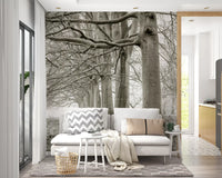 Ethereal Forest Canopy Wall Mural
