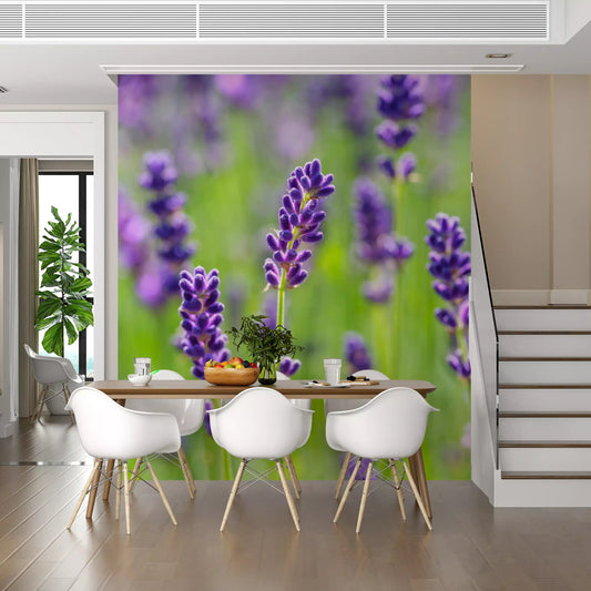 Violet Purple Blossom Stems wall mural lifts a dining room in green GD11453