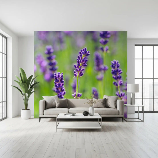 Lavender spikes of a Purple Blossom Stems wall mural freshen a living room GD11453