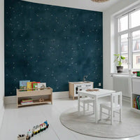 Starry Map - Midnight Blue Wall Mural