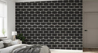 Monochrome Geometric Arcs Wallpaper⁠