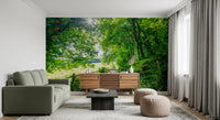 Rustic Woodland Gate Entrance Wall Mural