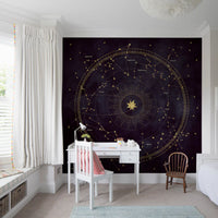 Eggplant Astro Wheel Wall Mural