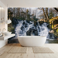 Rugged Mountain Brook Scenery Wall Mural