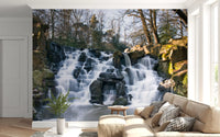 Rugged Mountain Brook Scenery Wall Mural