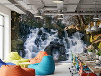 Rugged Mountain Brook Scenery Wall Mural