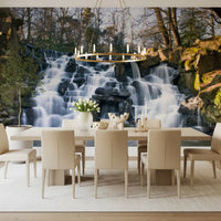 Rugged Mountain Brook Scenery Wall Mural