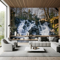 Rugged Mountain Brook Scenery Wall Mural