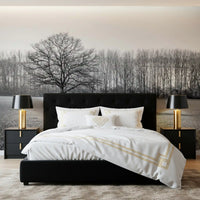 Misty Meadow Morning Wall Mural
