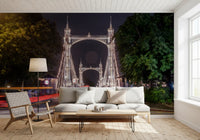 Metropolitan Bridge Light Trails Wall Mural