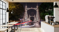 Metropolitan Bridge Light Trails Wall Mural