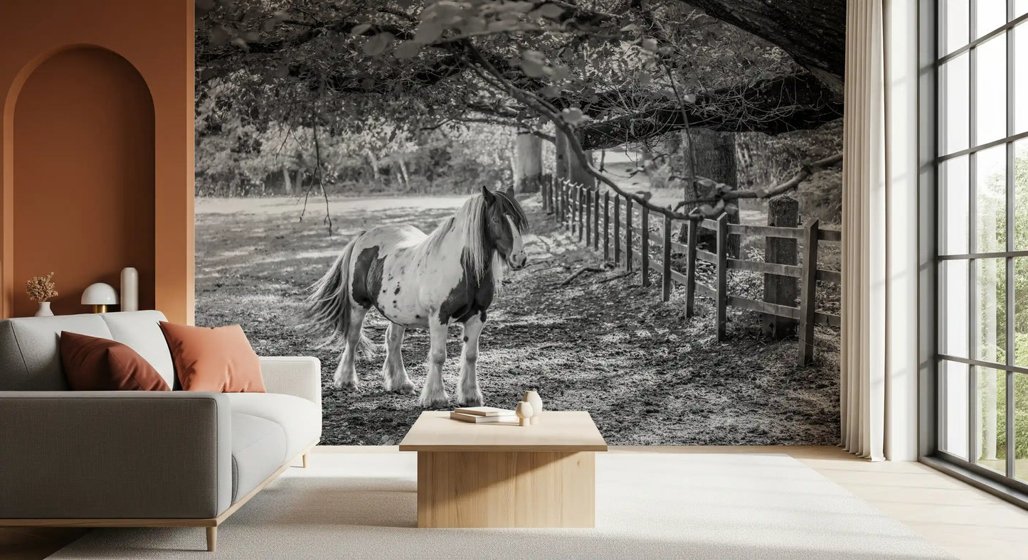 Pastoral Equine Monochrome Landscape Wall Mural
