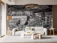 Pastoral Equine Monochrome Landscape Wall Mural