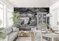 Pastoral Equine Monochrome Landscape Wall Mural