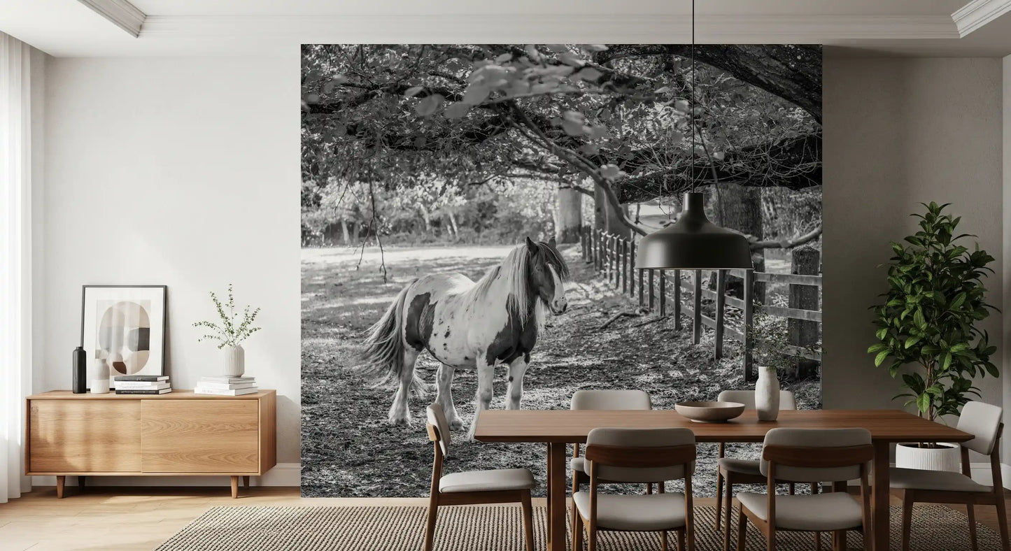 Pastoral Equine Monochrome Landscape Wall Mural