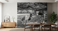 Pastoral Equine Monochrome Landscape Wall Mural