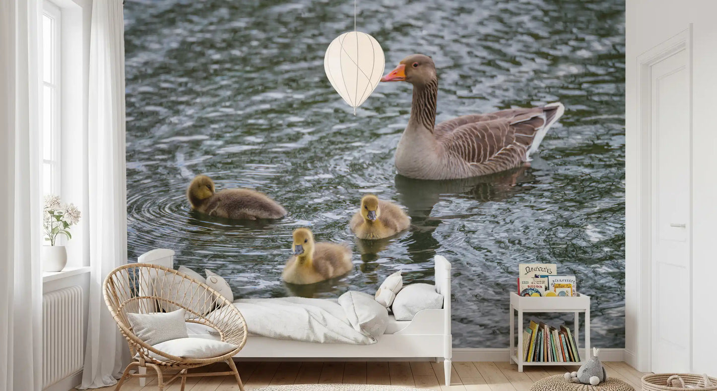 Grey plumage meets silvery ripples in this Serene Pond wall mural GD12838
