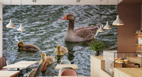 Waterfowl pond wall mural set across a cosy cafe space GD12838