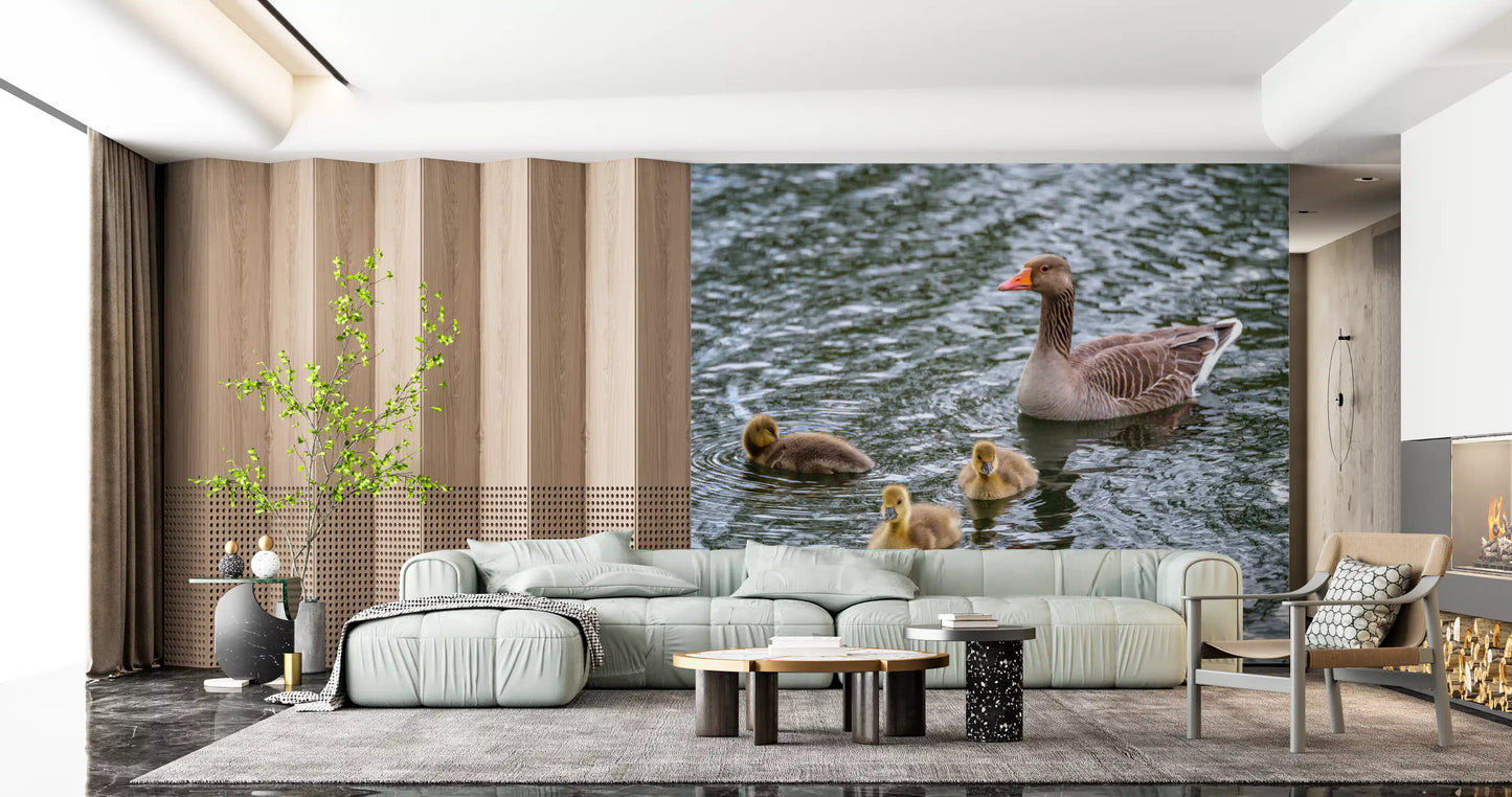Golden goslings wall mural lining a gentle living room GD12838
