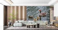 Golden goslings wall mural lining a gentle living room GD12838
