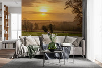 Tree silhouette wall mural setting a mellow lounge mood, GD12840
