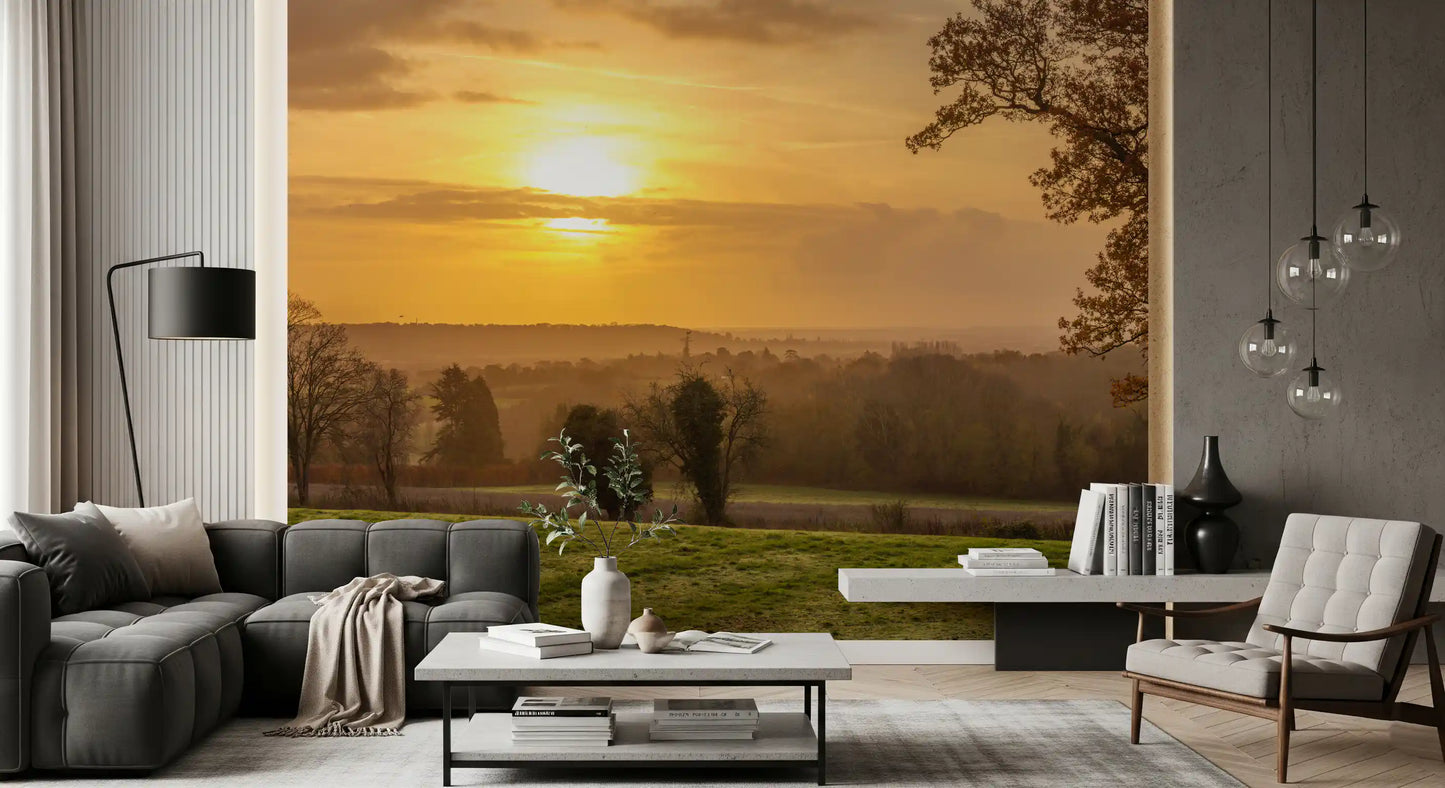 Sunset wall mural with dark tree silhouettes over misty hills, GD12840
