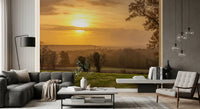 Sunset wall mural with dark tree silhouettes over misty hills, GD12840
