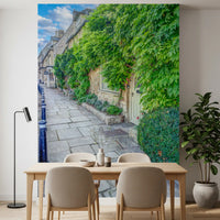 Rustic Stone Path and Climbing Ivy Wall Mural