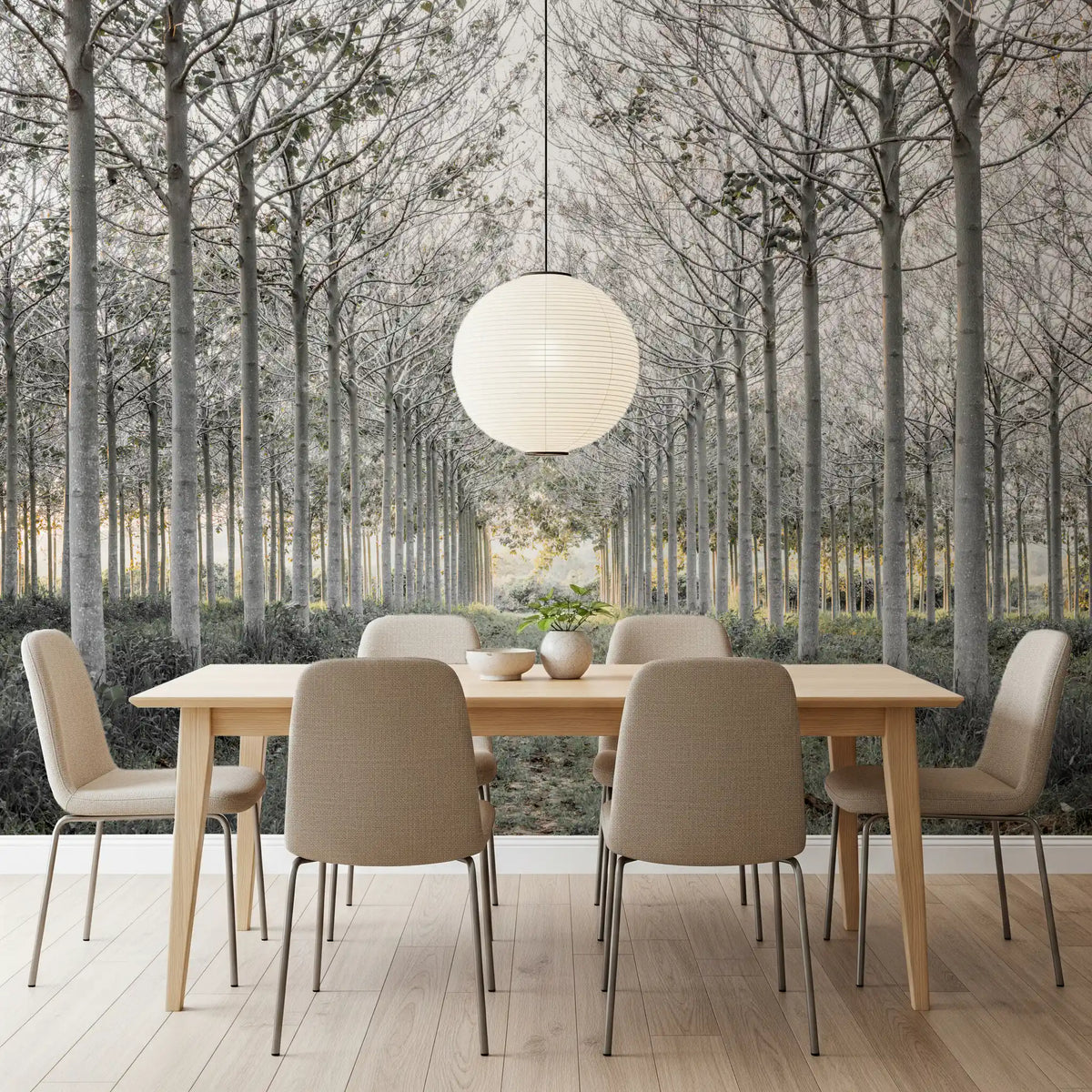 Minimalist Woodland Perspective Wall Mural