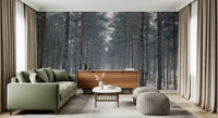 Misty Snowy Path Through the Pines Wall Mural