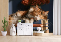 Cat wallpaper behind a toy giraffe and a white play wardrobe GD13118