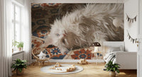 White Persian Cat on Mediterranean Tiles Wall Mural