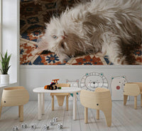 White Persian Cat on Mediterranean Tiles Wall Mural