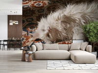 White Persian Cat on Mediterranean Tiles Wall Mural