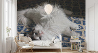 Resting Fluffy Cat on Mediterranean Tiles Wall Mural