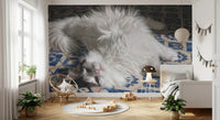 Resting Fluffy Cat on Mediterranean Tiles Wall Mural