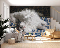 Resting Fluffy Cat on Mediterranean Tiles Wall Mural
