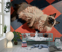 Sunlit Ragdoll on Checkered Tile Wall Mural