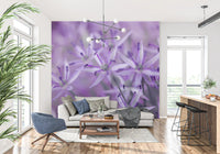 Purple allium mural in a living room with a white sofa and blue armchair GD13140