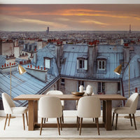 Twilight Over The Zinc Roofs of Paris Wall Mural