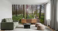 Woodland Morning Sunlight Wall Mural