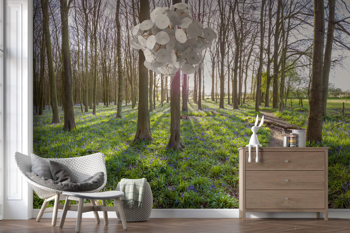 Woodland Morning Sunlight Wall Mural
