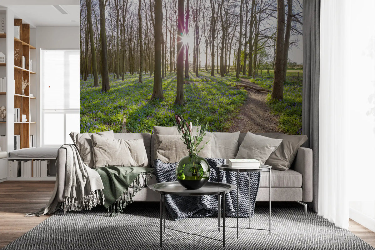 Woodland Morning Sunlight Wall Mural
