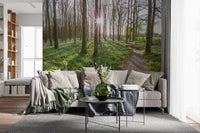 Woodland Morning Sunlight Wall Mural