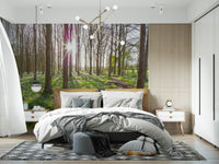 Woodland Morning Sunlight Wall Mural